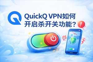 QuickQ怎么加速海外DNS？